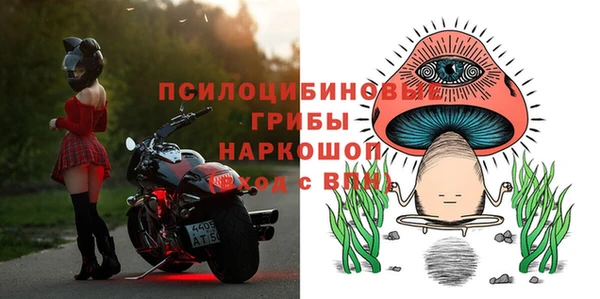 прущие грибы Ивангород
