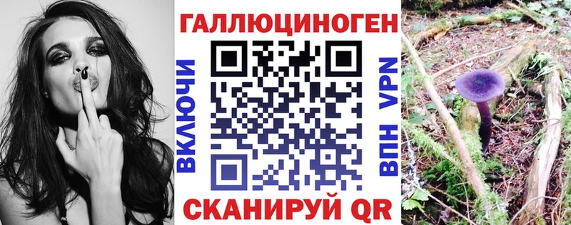 Купить  Малмыж  Галлюциногенные грибы прущие грибы 